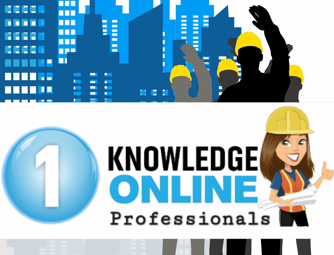 &copy;1KnowledgeProService